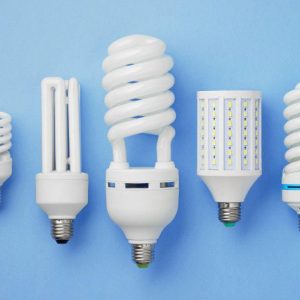 assortment of LED light bulbs